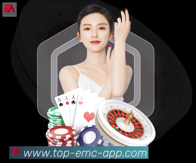 EMC易倍体育荣誉